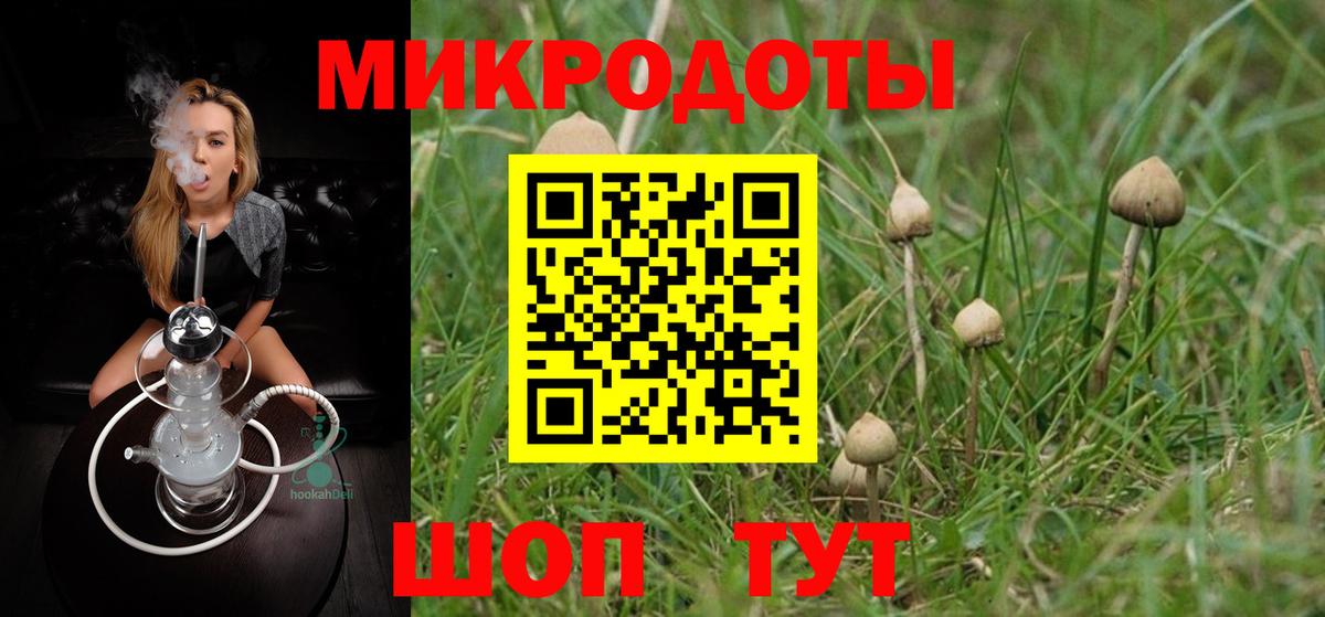 Галлюциногенные грибы Psilocybine cubensis Ростов-на-Дону